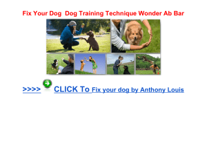 Fix Your Dog Dog Training Technique Wonder Ab Bar