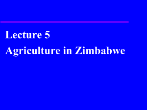 5. Zimbabwe agriculture 2015 (1)