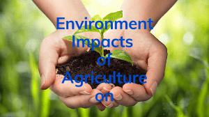 5 Major Environment Impacts of Agriculture
