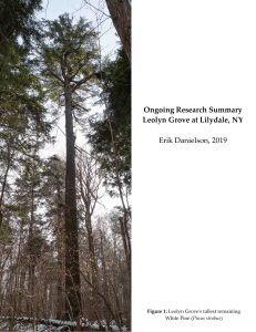 Leolyn Grove Research Summary ESD 2019