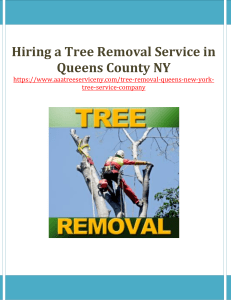 Tree Removal services queens New York Cerifified Tree Trimming & Pruning