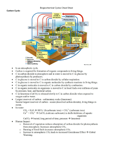 biogeochemical cycles cheat sheet