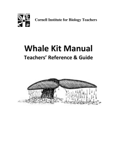 Whale-Kit-Manual-FINAL-MERGED-2j85af9