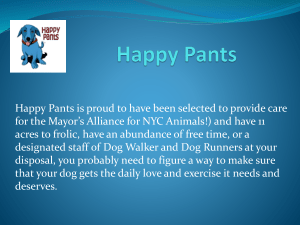 Happy Pants ppt