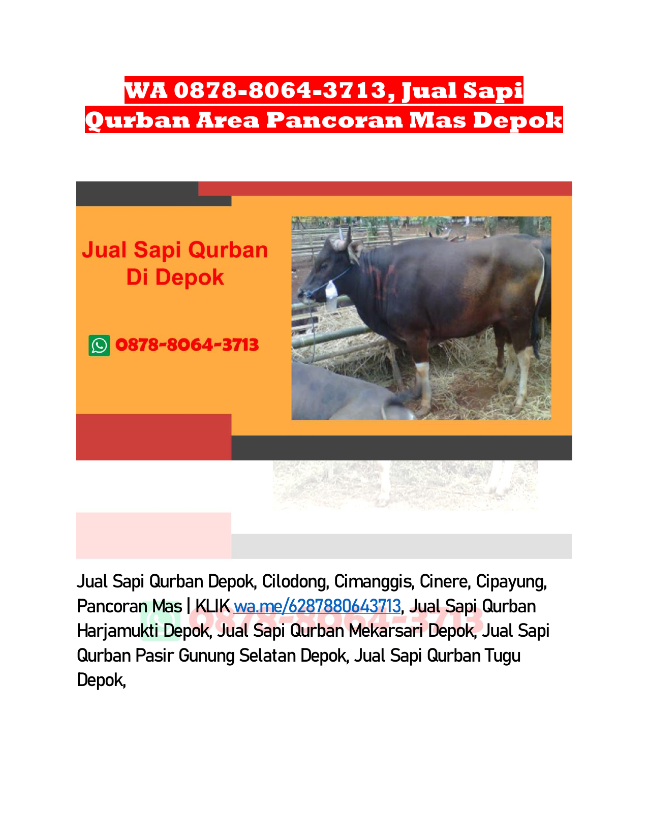 WA 0878-8064-3713, Jual Sapi Qurban Area Pancoran Mas Depok