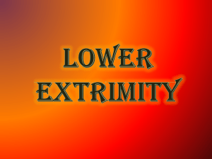 Lower extrimity