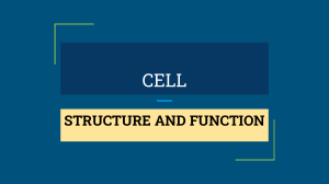 CELL structure and function
