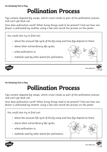 Pollination Process Fact