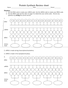 Visual Protein Synthesis Worksheet-GOOD