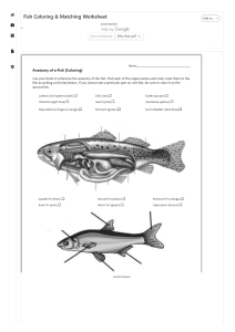 Fish Coloring & Matching Worksheet