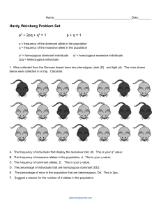 Hardy Weinberg Problem Set