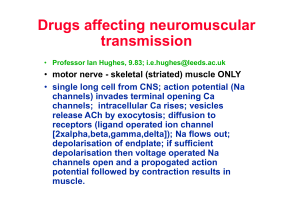 NeuromuscularBlockers