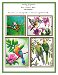 Art (Class V) Composition of birds (revision for exam)