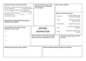 Aerobic-Respiration-Worksheet