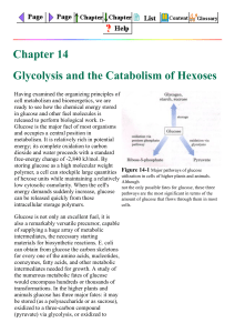 Chapter 14   Glycolysis and the Catabolism of Hexoses
