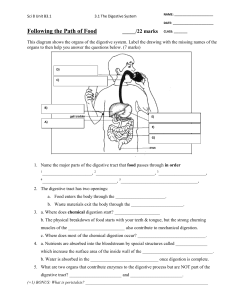 Science 8 Digestive System The Path of Food Questions