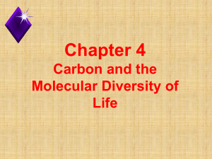 Ch 4&5 macromolecules