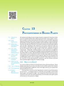 CBSE-class-11-NCERT-Book-Biology-PHOTOSYNTHESIS-IN-HIGHER-PLANTS-chapter-13