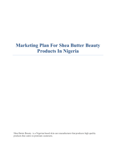 Marketing Plan For Shea Butter Beauty Products 2