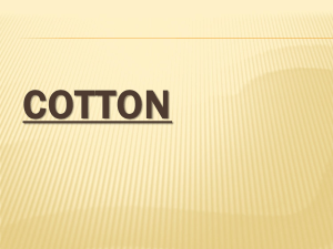 Cotton Нукус : )
