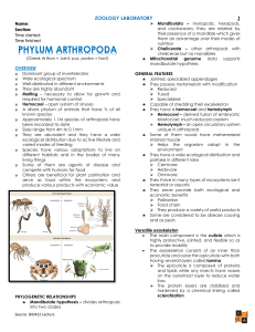 Zoology Ch19-20 Arthropoda