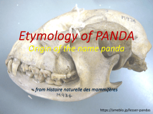 Etymology of PANDA