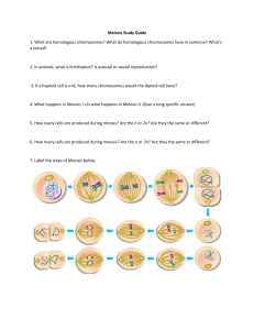 Meiosis Study Guide