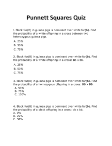 Punnett Squares Quiz