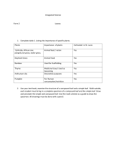 Integrated Science form 2 worksheet (2)