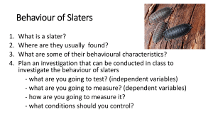 Behaviour of Slaters