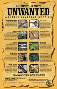 invasive species poster