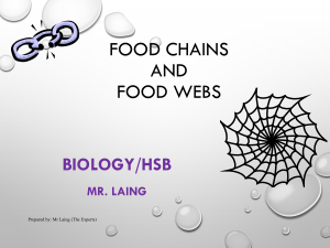 Food Chains & Food Webs