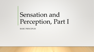 Lecture 7 (Sensation and Perception I)