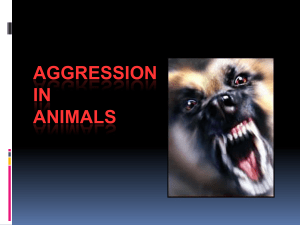 Aggressive Behavior (1)
