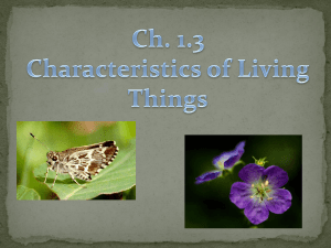 Ch. 1.3 Charac of living things