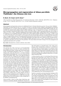 Micropropagation and regeneration of Ulmus parvifolia