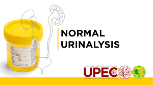 2 - UPEC Normal Urinalysis 2019
