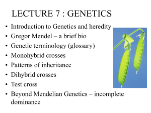 mendelian genetics (1) (1)