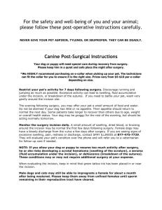 Post Surgical Instructions