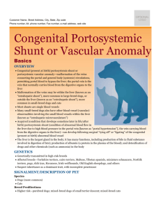 congenital_portosystemic_shunt_or_vascular_anomaly