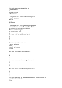 50. Cranial nerves. V CN.