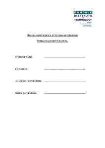 Work Placement Manual - Dundalk Institute of Technology