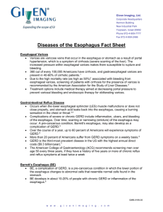 Diseases of the Esophagus Fact Sheet