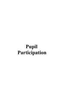 Pupil Participation