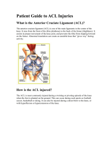 Patient Guide to ACL Injuries