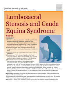 lumbosacral_stenosis_and_cauda_equina_syndrome
