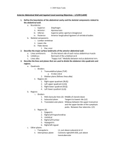 Anterior Abdominal Wall and Inguinal Canal Learning Objectives – 1