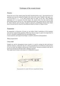 Technique of the wound closure