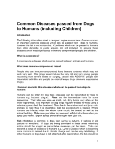 Common Diseases passed from Dogs to