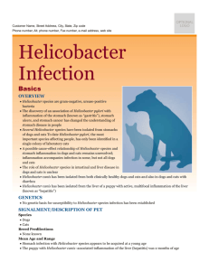 helicobacter_infection